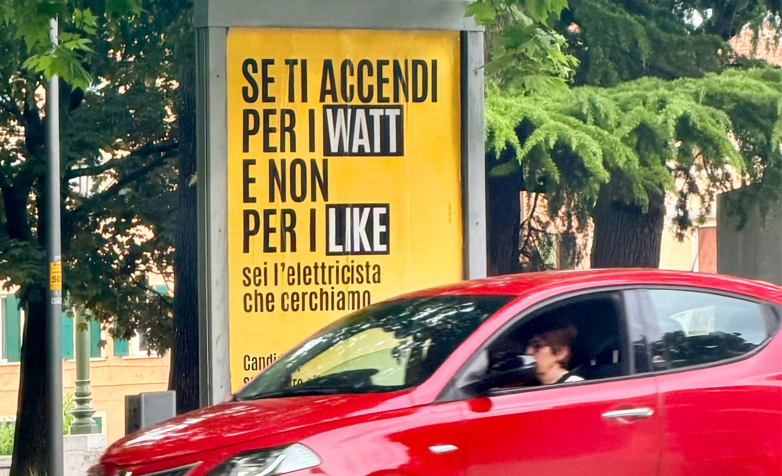 Squee per PETAS: tra il digitare e il fare…